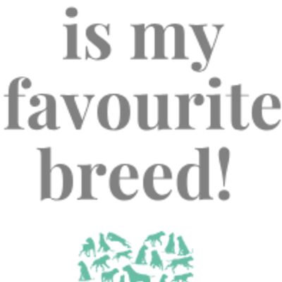 RescueIs 005 Thumbnail