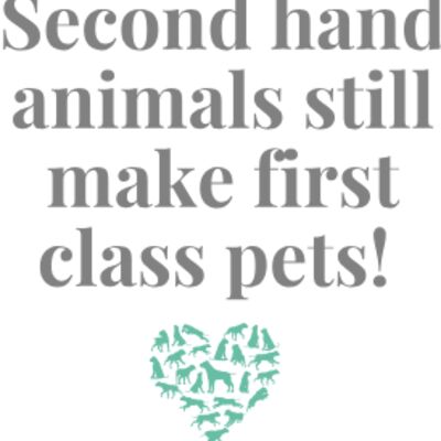 SecondHand 003 Thumbnail