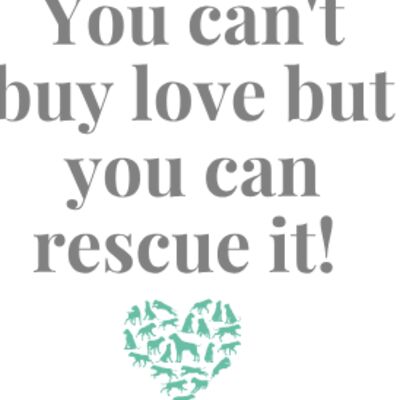 YouCantBuyLove 001 Thumbnail