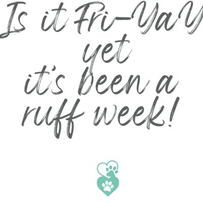 DogQuotes IsItFri 003 Thumbnail