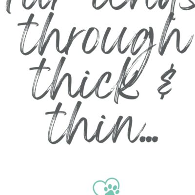 DogQuotes FurIends 002 Thumbnail