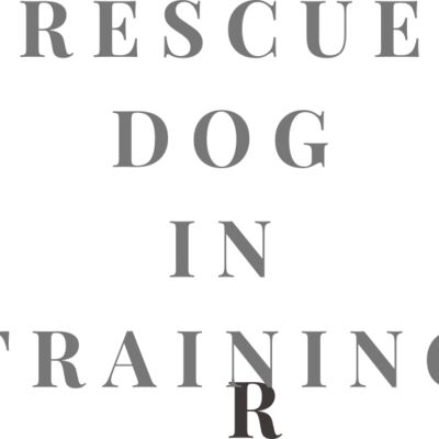 Rescue Dog In Training  Thumbnail