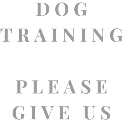 Rescue Dog In Training 2 Thumbnail