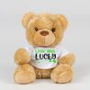 Bear in a t-shirt Thumbnail