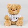 Bear in a t-shirt Thumbnail