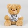 Bear in a t-shirt Thumbnail
