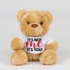 Bear in a t-shirt Thumbnail
