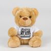 Bear in a t-shirt Thumbnail