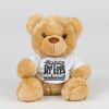 Bear in a t-shirt Thumbnail