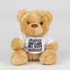 Bear in a t-shirt Thumbnail