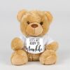 Bear in a t-shirt Thumbnail