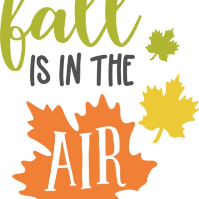 Fall Is In The Air Thumbnail