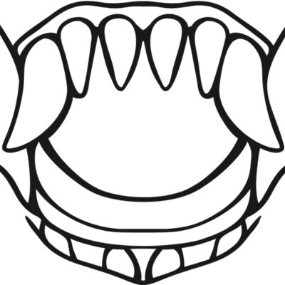 Bali Face Mask 11 Thumbnail