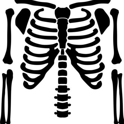 Skeleton Tee Thumbnail